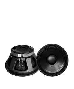 CỦ LOA RỜI BASS 40 PA15FT-29