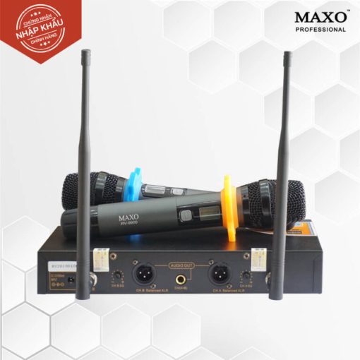Micro Không Dây - RV-9900( 600Hz) - Ảnh 4
