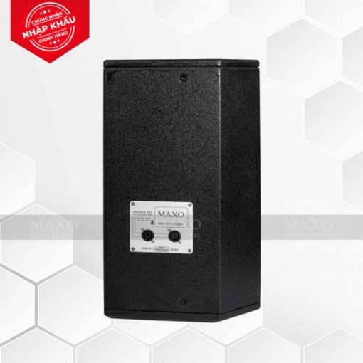 Loa Full Range 2 Tấc Rưỡi S10 - Ảnh 3