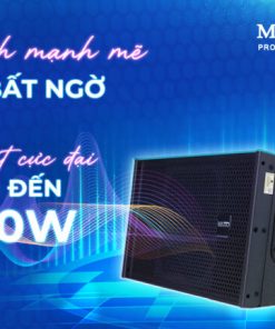Loa Line Array 25 Đôi X210LA New Version