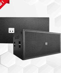 Loa Sub 5 Tấc Đôi S218D