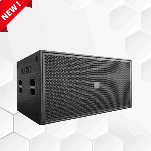 Loa Sub 5 Tấc Đôi S218D - Ảnh 2