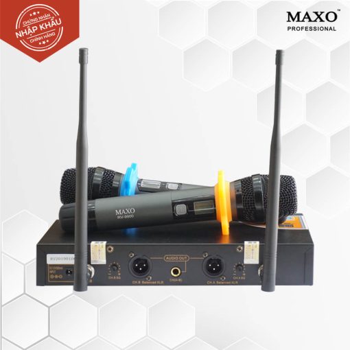 Micro Không Dây – RV-9900 New Version (600Hz) - Ảnh 3