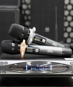 Micro Không Dây D-9900S New 2025