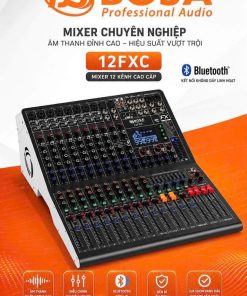 Mixer BOSA 12FXC