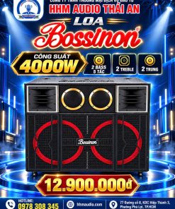 LOA KÉO BOSSINON N9128K